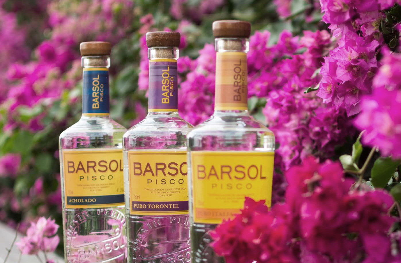 Pisco Barsol Se Consagra Como El Más Popular Y Vendido En El Extranjero